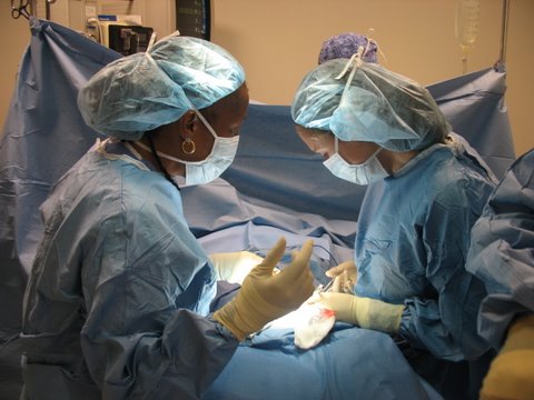 Surgery